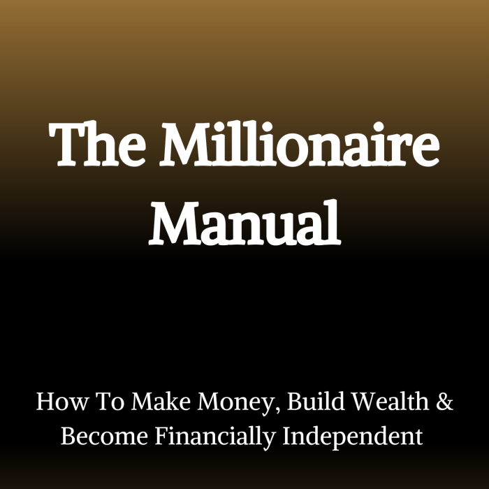 Millionaire-Manual The Millionaire Manual